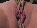 Bondage and pussy torture for Lilla Katt 