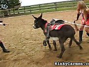 Carmen riding a donkey a...