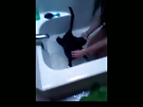 Washing a pussy