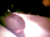 Married Slut Zeannie Enjoying Sucking Indian Balls