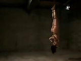 Flogging An Upside Down Japanese M