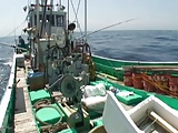 fishing boat sex tour 3-by PACKMANS