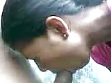 my servant   sri lanka