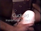 Cuckold - black bull insemination
