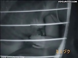 Horny couples explicitly filmed