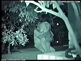 Low Angle Outdoor Sex Festival