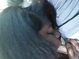 black bbw sucking white cock