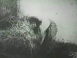 vintage vid 2(B)