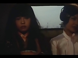 Woods Are Wet (1973)