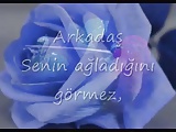 dost
