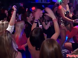 Real euro bachelorette nailed by stripper