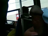 mostrando la polla en el bus