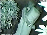 Voyeur Outdoor Blowjob Action