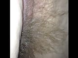 hairy ass & pussy.
