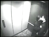 Security cam - blow job in an elevator