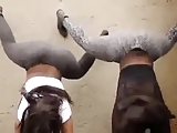2 black teens Twerkin