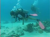 Scuba Sex (Part 1 of 2)
