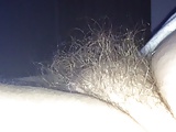 the puffy hairy bush of my wife.