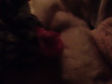 Fur Handmassage very sensual handjob teen pelz