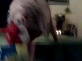 Kuwaiti twerking