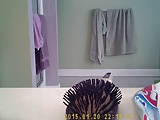 hidden camera in bathroom