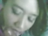 Koleksi 3