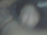 Her Again