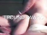 I pound pawgs