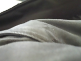 Mi guarda