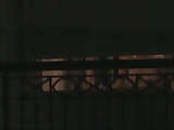 Window Voyeur 9 of 1000