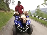 Extreme Moto Sex