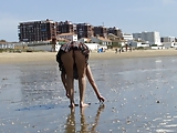 no panties on the beach