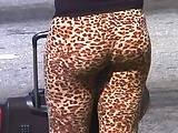 Leopard Arse