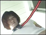 Video: Japanese video 66 slave pet