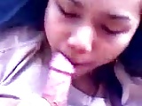 Awek Malay Blowjob