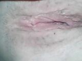 pussy of my wife 5