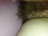 hairy ass and pussy