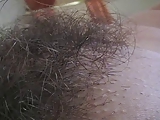 B Reen Hairy 100608