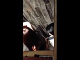 Spying on couple in the cubicle