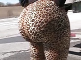 Leopard Bubble