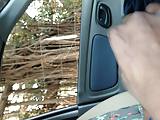 dick flash in car