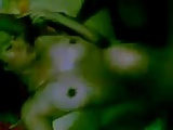 bohsia garang