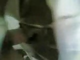 selakmainpancut