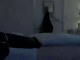 Flasher Guy Surprises maid
