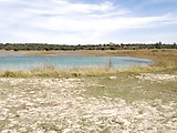 Paseando al perro por el lago.