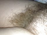 before i have sex i like to rub her hairy bush.