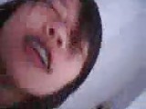 ayvs