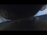 Close up dick sucking by young Asain