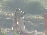 Indian granny bathing in the river 