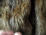 not my grandmother beaver fur get my cum